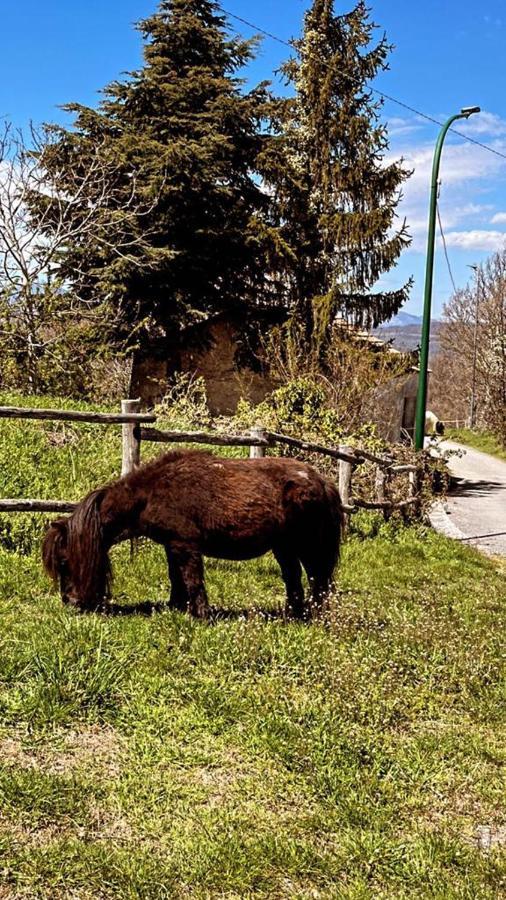 Residence Villa Gioia San Severino Lucano Dış mekan fotoğraf