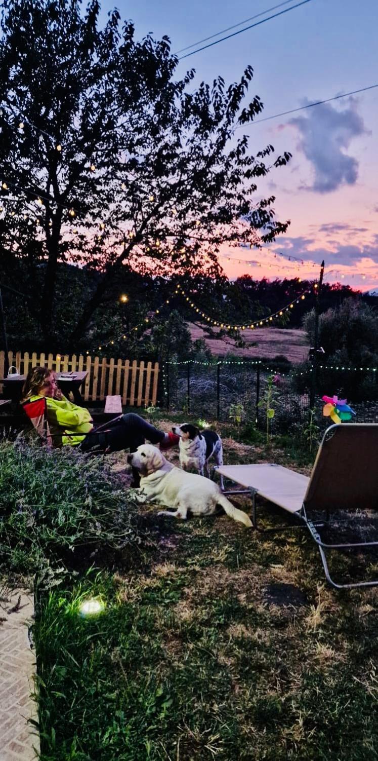 Residence Villa Gioia San Severino Lucano Dış mekan fotoğraf